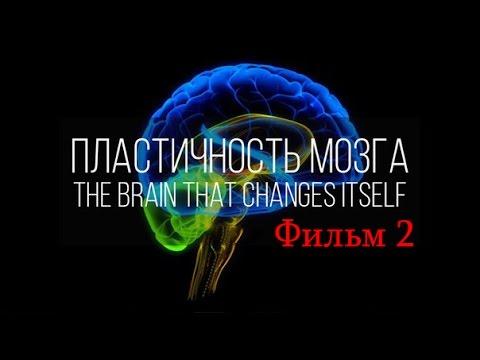 Мозг изменяющий себя сам. Нейропластичность Мозга. Фильм 2