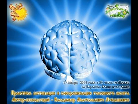 Практика активации и синхронизации головного мозга. Владимир Лукашенко