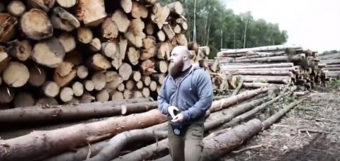 Возле резиденции Путина вырубили заповедный лес