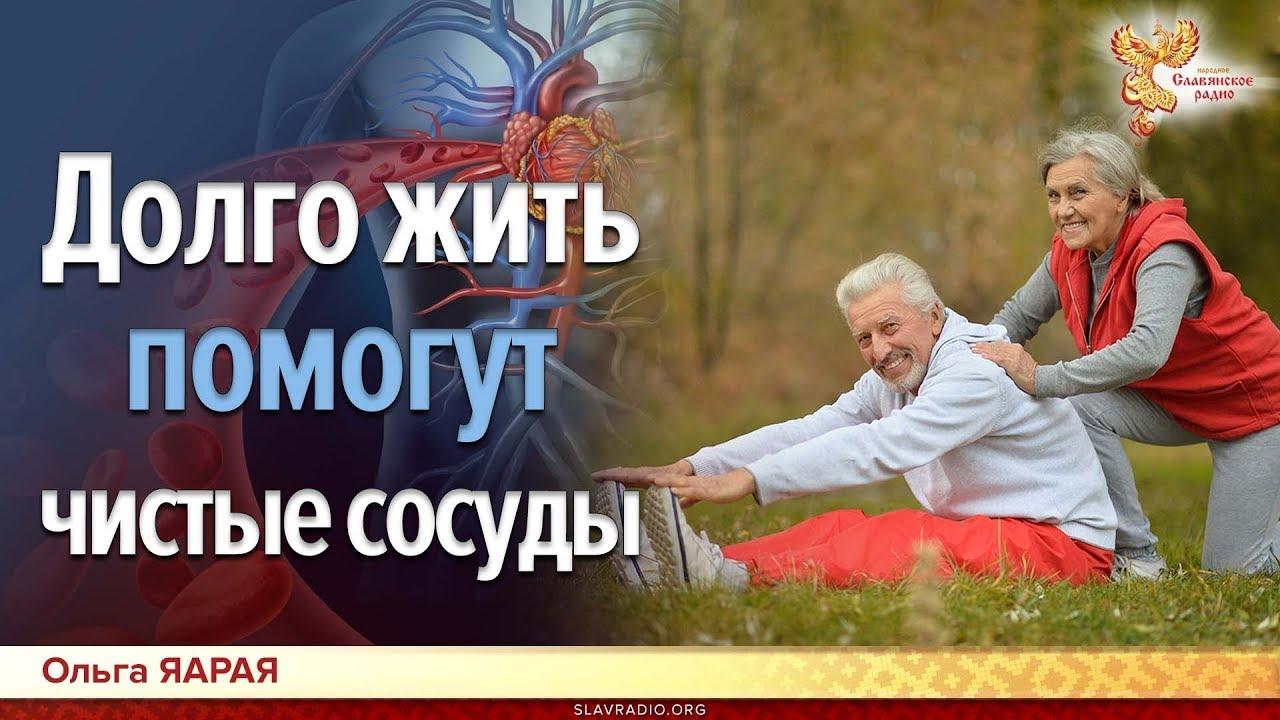 Секрет здоровья и долголетия — чистые сосуды, утверждает 95-летний травник Николай Семёнович Добреев