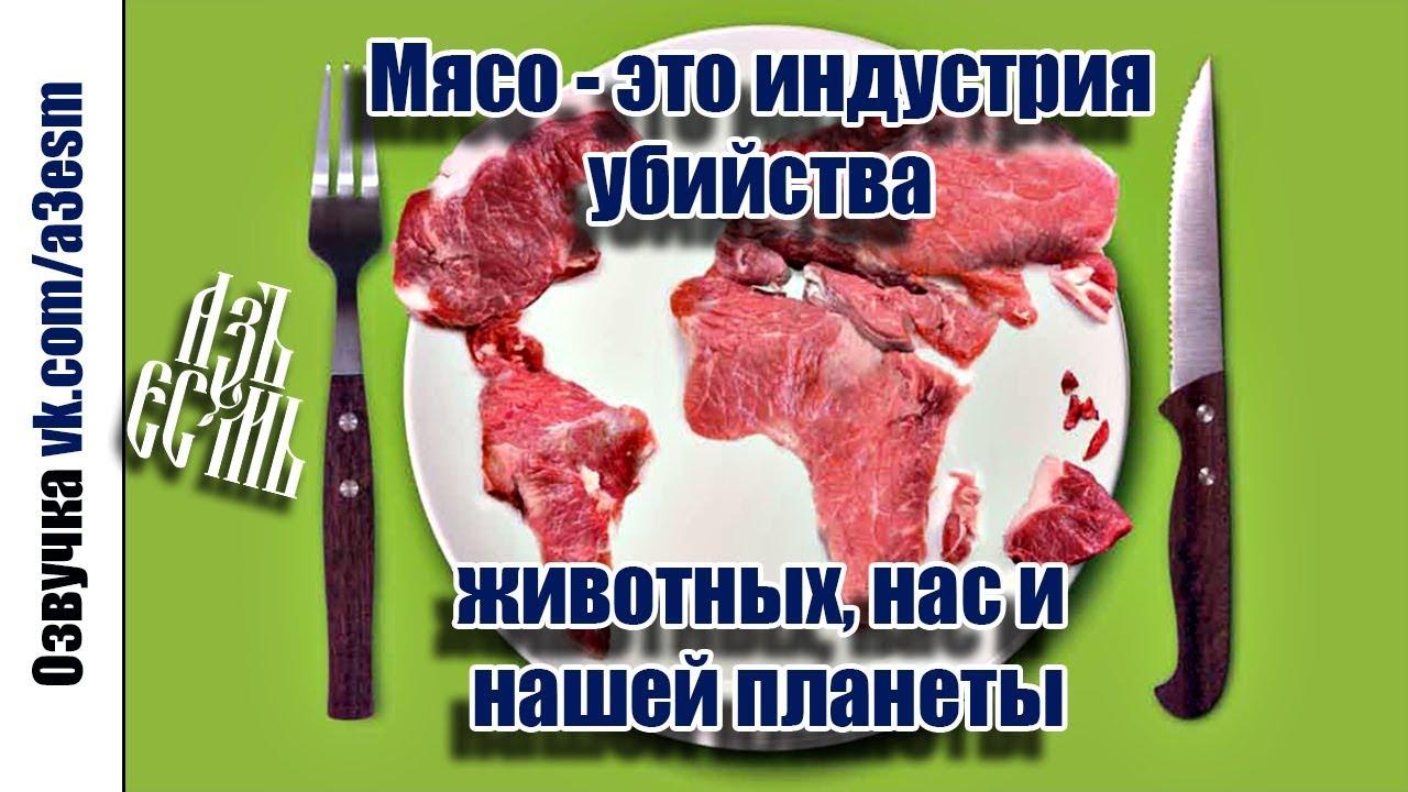 Мясо - это индустрия убийства животных, нас и нашей планеты