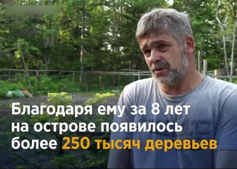 Житель Сахалина за свои деньги посадил 250 тысяч деревьев